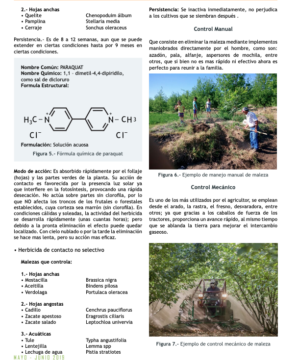 PIPNAC's tweet photo. Les compartimos el artículo "Control de Malezas" #COMENUEZ #RevistaPacana #nogal #nuezpecanera #Capacitación #agricultura #pacanas #pecan #pecanas https://t.co/NNifg2gJiT