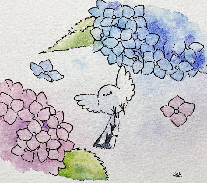 「hydrangea」 illustration images(Popular)