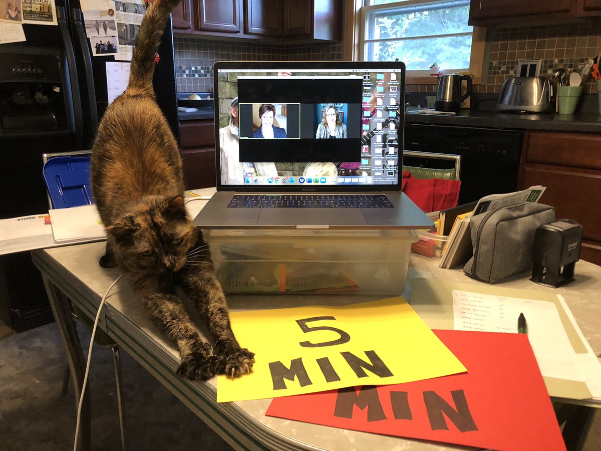 Producing virtual story slams looks a little different from in-person slams. Looking forward to hearing PET PEEVES stories tonight!