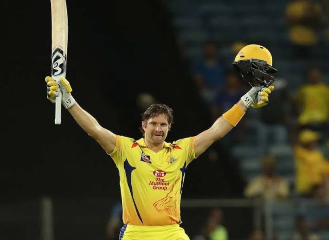 Happy Birthday To You White Shark Aka \"Shane Watson\".   