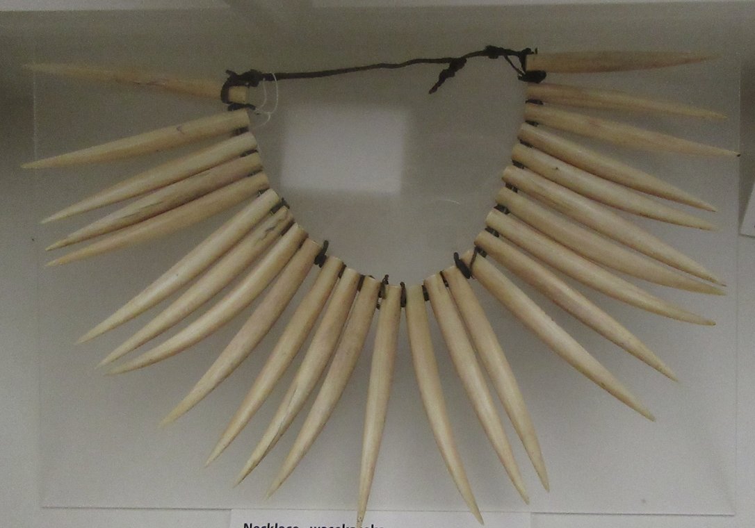 Now we've done the Melanesian loop we are back to Polynesia (makes sense when you actually visit)Sperm whale teeth necklace.Tonga, Samoa and Fiji (which is where this one is from)11/