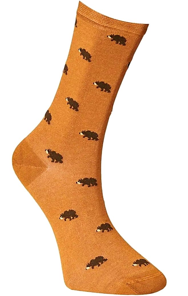 TrendyCorap's tweet image. #SocksofWednesday #SocksofDay #Socks #Çorap #GününÇorabı #orange #turuncu #sokken #Chaussettes #Calzedini #Altınyıldız