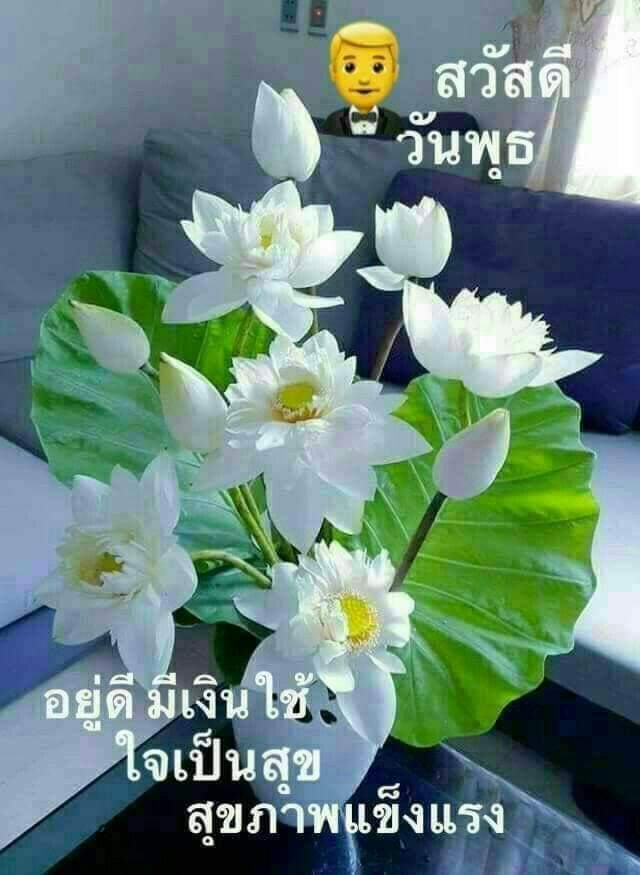 KoLay36267221's tweet photo. https://t.co/5tM0FVSV7m