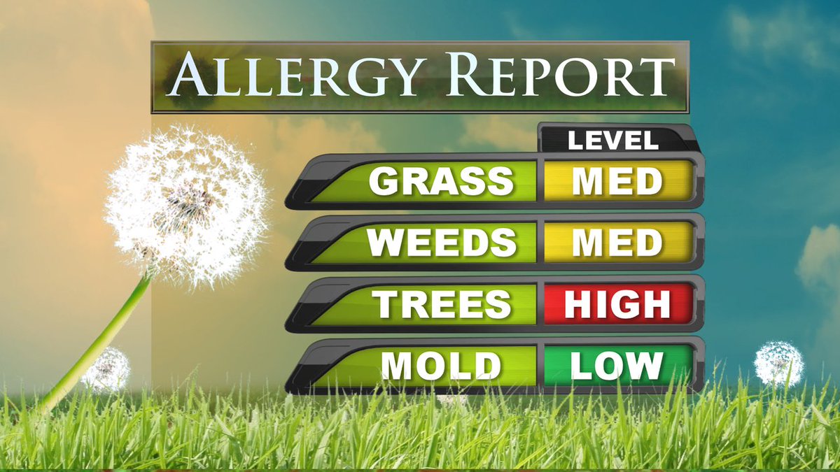 KathySabine9's tweet photo. If you're sneezin' this may be the reason... #AllergyIndex #9NEWS https://t.co/3QRXKOYnKr