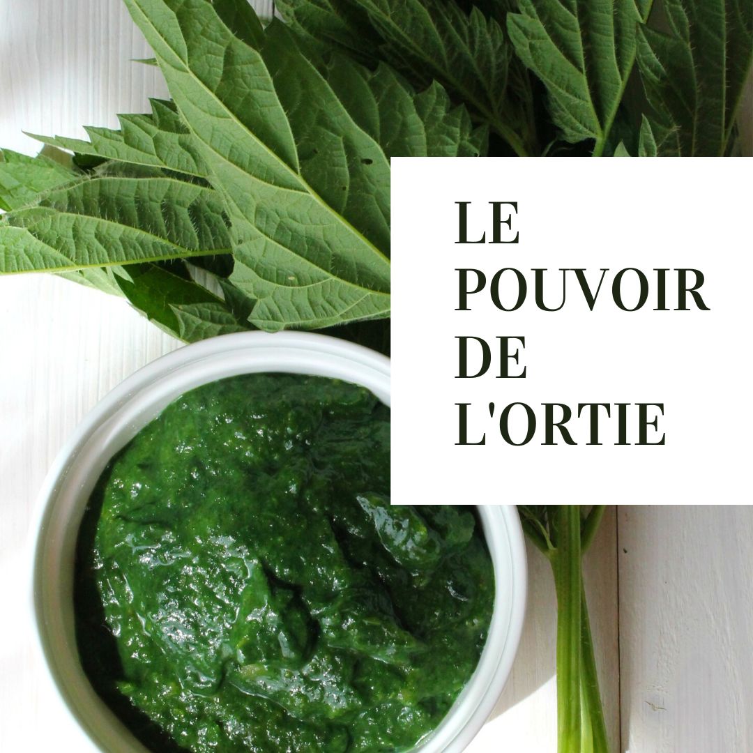 Sosenzsingapore Sosenzsingapore Twitter