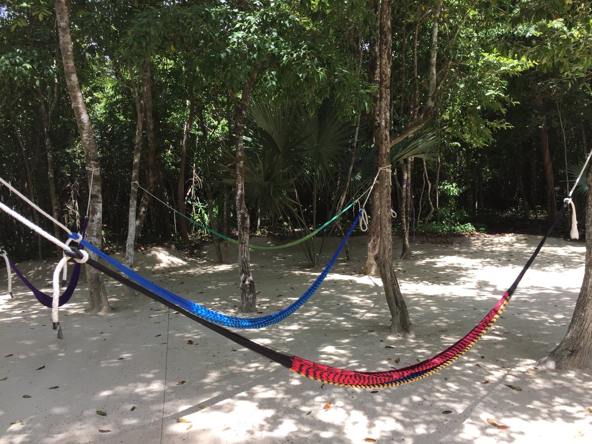 aktunchenparque's tweet photo. Las hamacas están ahí para que puedas descansar de una larga caminata y relajarte sin ninguna distracción https://t.co/hy2VzRR4OC https://t.co/nZd9eXvFN4