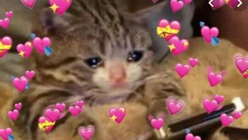 itshemmolukey's tweet photo. Cómo quieren que no me emocione si Big time rush subió un video cantando worldwide? tienen que regresar por favor https://t.co/gOr7cyANeR