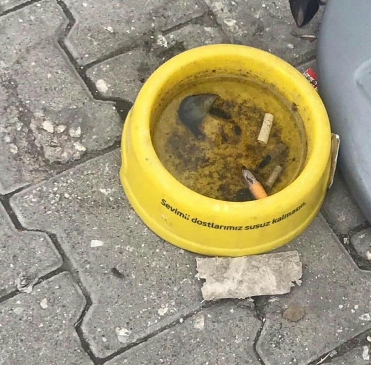 Ne yani böyle bir dünyanın bir de cehennemi mi var ?

#MEHMETHANERTUTUKLANSIN