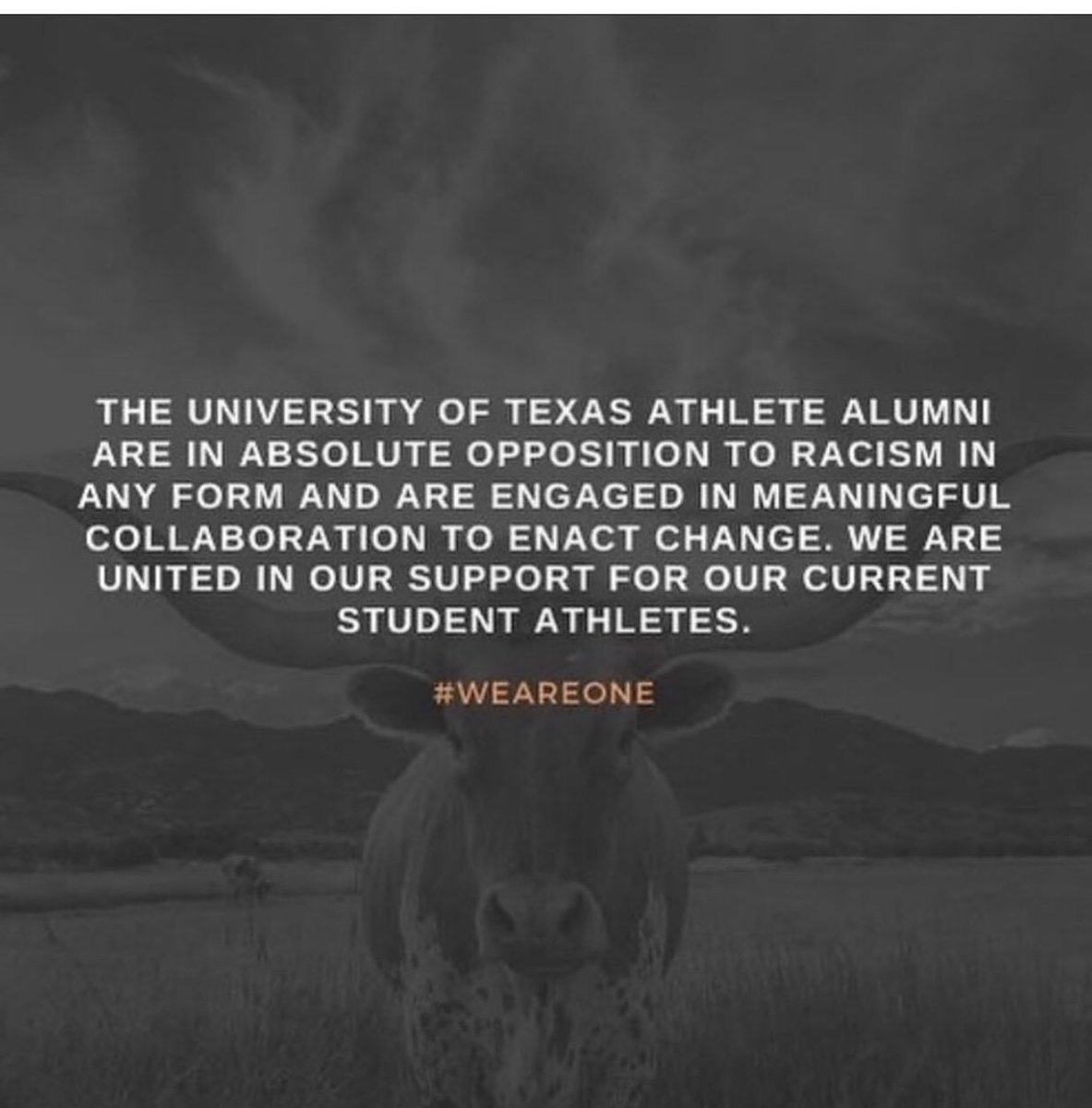 TrentonHafley's tweet photo. #UTXAA #weareone https://t.co/JZBUeviGMY