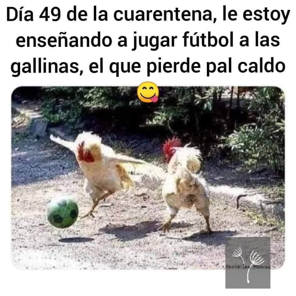 3divisioncl's tweet photo. ¿Y USTED? SIIII USTED! QUE HA HECHO PARA ENTRETENERSE EN LA CUARENTENA #QuedateEnCasa https://t.co/16Q2vDYpZe