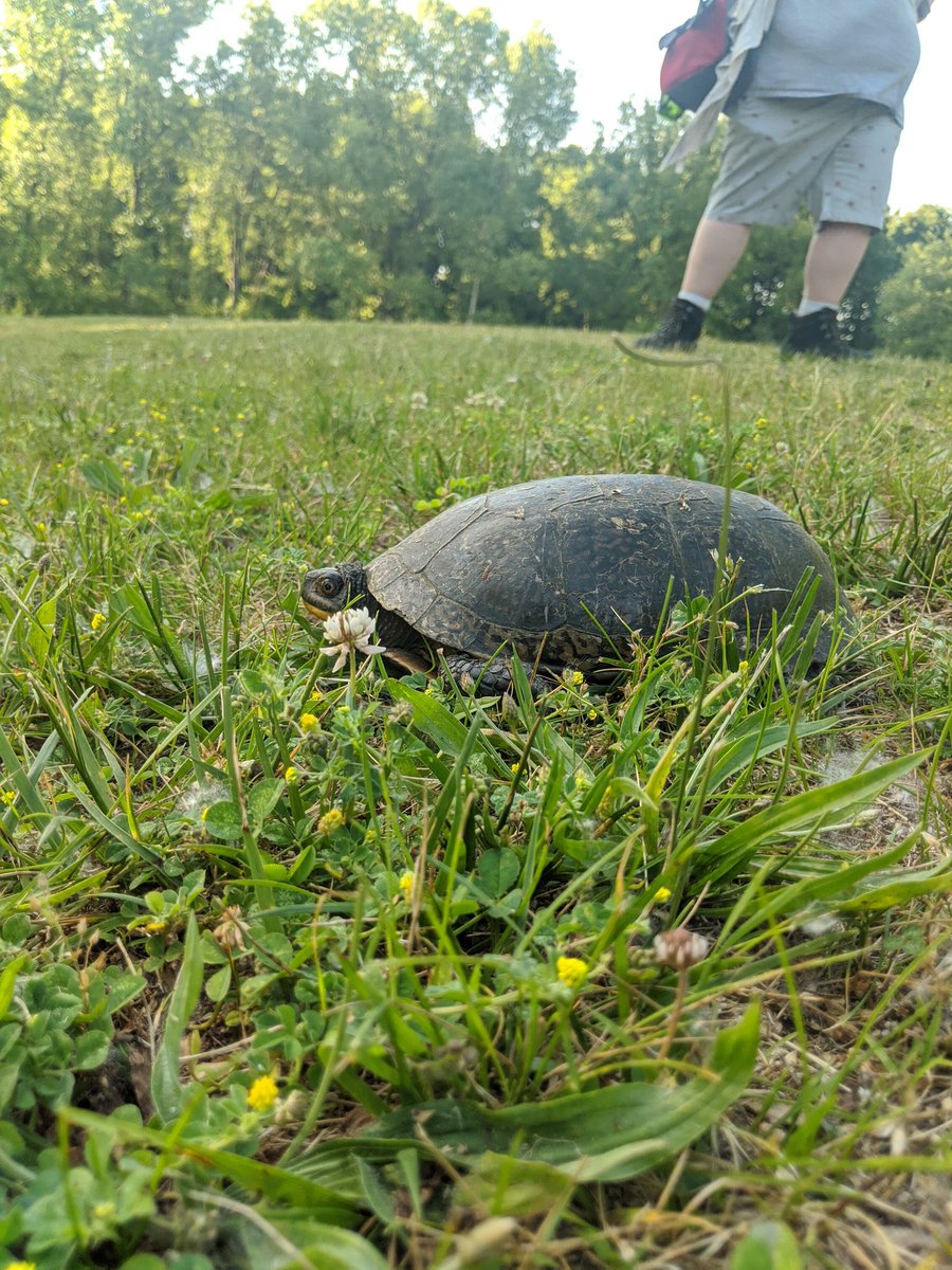 Rizzledizzle3's tweet photo. Don't worry, we social distanced for the photoshoot. Lovely friend out on the disc golf course!
#turtletuesday https://t.co/bowziMD10Z