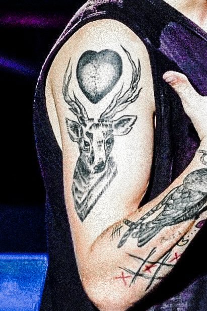 ⛬ deer as taurus ⛬