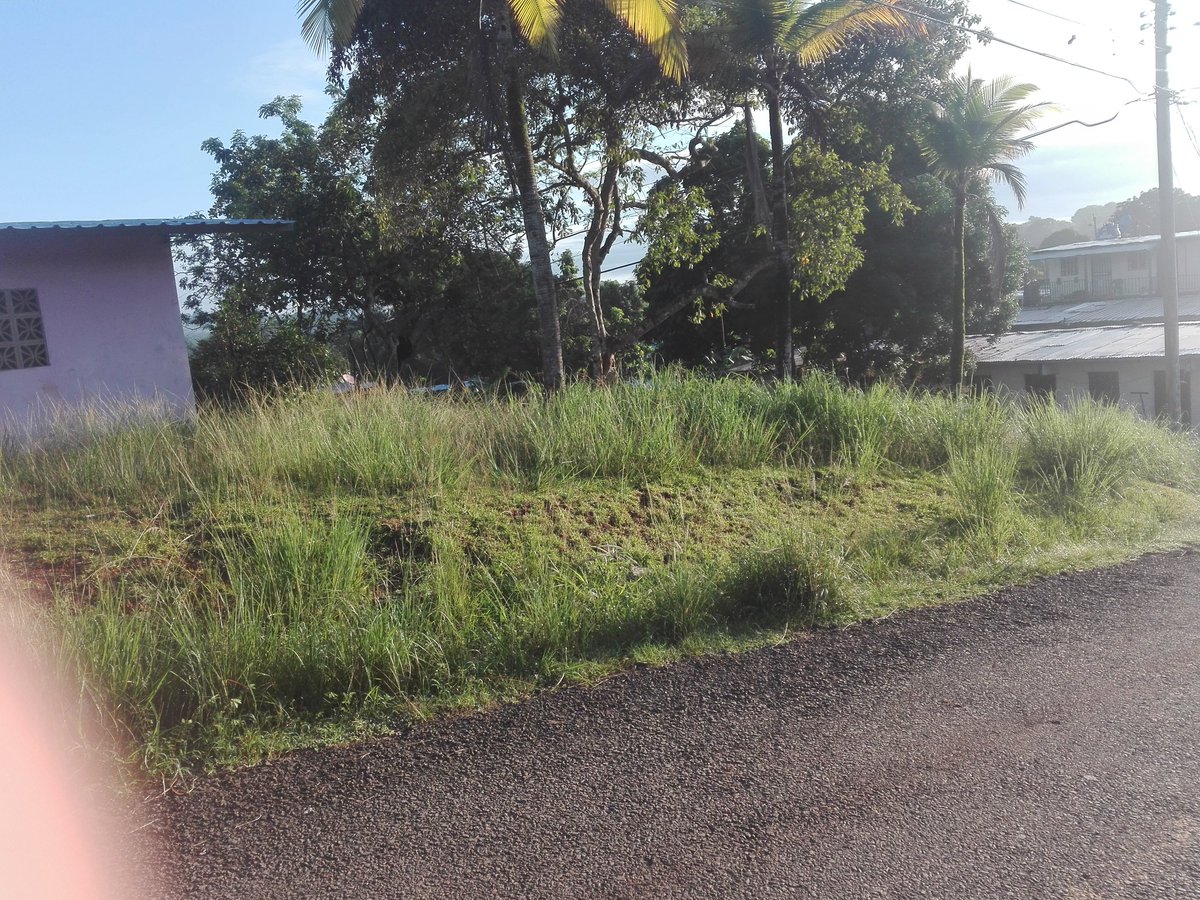 Casa abandona ,es criadero de alimañas y reptiles .<a href="/JuntaOeste/">Junta Comunal, Burunga Arraiján, Panamá Oeste</a> <a href="/AArraijan/">Alcaldia de Arraijan</a> <a href="/ProtegeryServir/">Proteger y Servir</a>