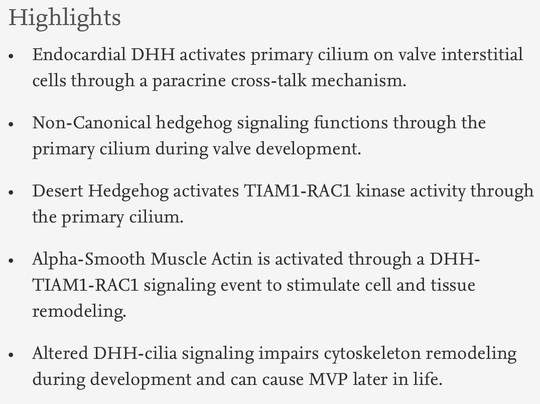 Dev_Bio_Journal's tweet photo. #DBteaser #DevBio
"Desert hedgehog-primary cilia cross talk shapes mitral valve tissue by organizing smooth muscle actin" by @DianaBFulmer et al.
Read more here -> https://t.co/3mWdklcwj8 https://t.co/ByNJVXlQUF
