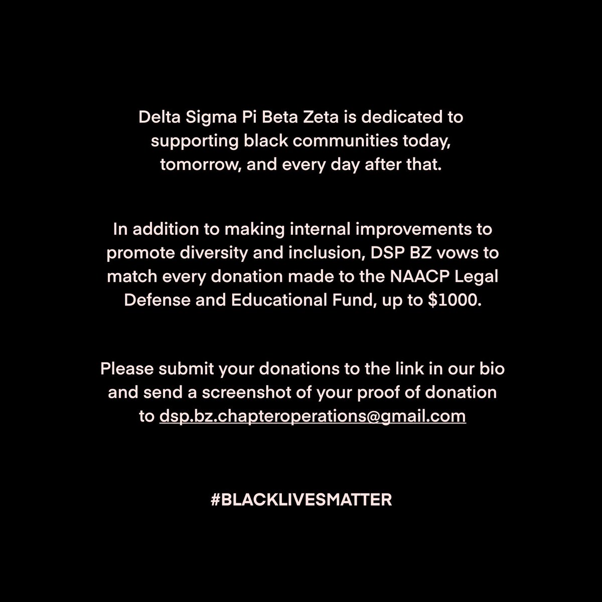 lsudeltasigmapi's tweet photo. #blacklivesmatter https://t.co/Gx6kS6fT26