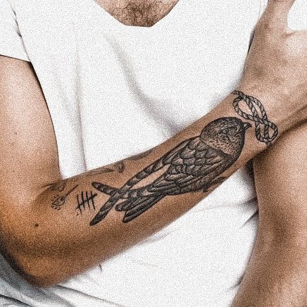 ⛬ the bird as capricorn ⛬