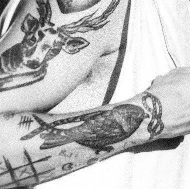 ⛬ the bird as capricorn ⛬