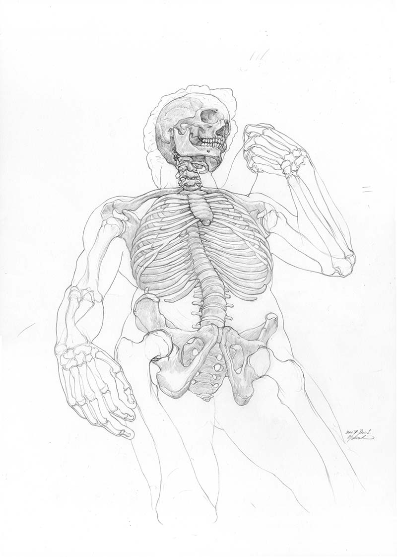#これを見た人はアオリ絵を貼る見た人もやる 

拙著『うつくしい美術解剖図』(玄光社)から、ミケランジェロのダビデ像の骨格図と筋肉図
https://t.co/kDmyHwGqaY 