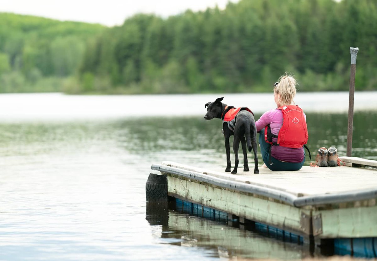 [1/6] This pup.She's pretty chill. She'll hang around all day napping and curled up on the blankets. But if you look closely, she might have an ear popped up because she's just waiting for you to ask if she wants to go for a run, go to the dog park or go on a fun adventure.