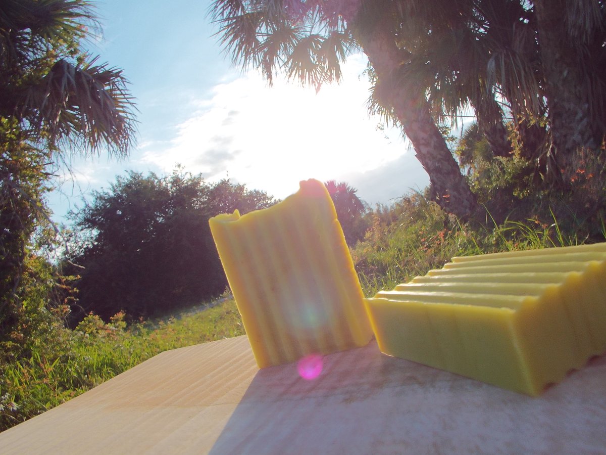 Plethoracompany's tweet photo. Our "Florida Man" bar and all it's glory! https://t.co/YcpEYA20EM
#BrandNew #FathersDay #bees https://t.co/xBcsZkMUKD