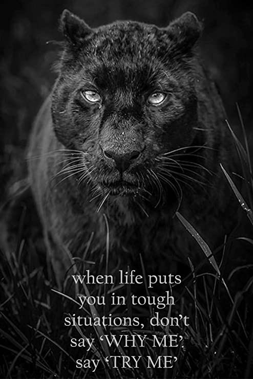 Kelsey Scharton tweet media