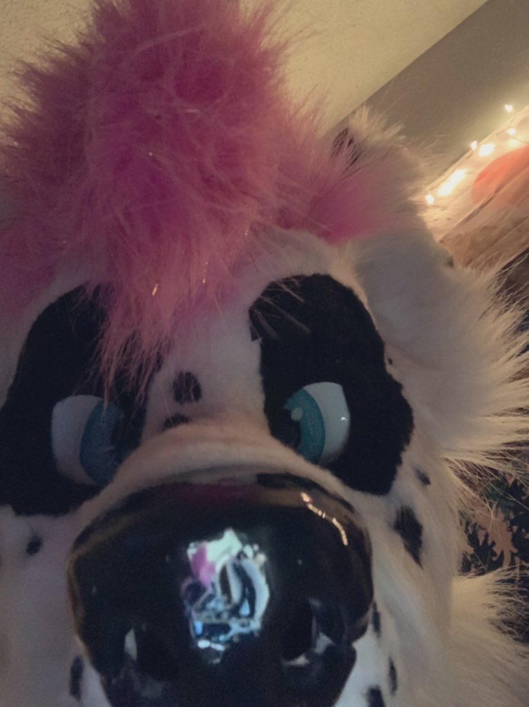 toothpickisgay's tweet photo. this idiot snifs u. wyd? https://t.co/NJ0vNtL12i