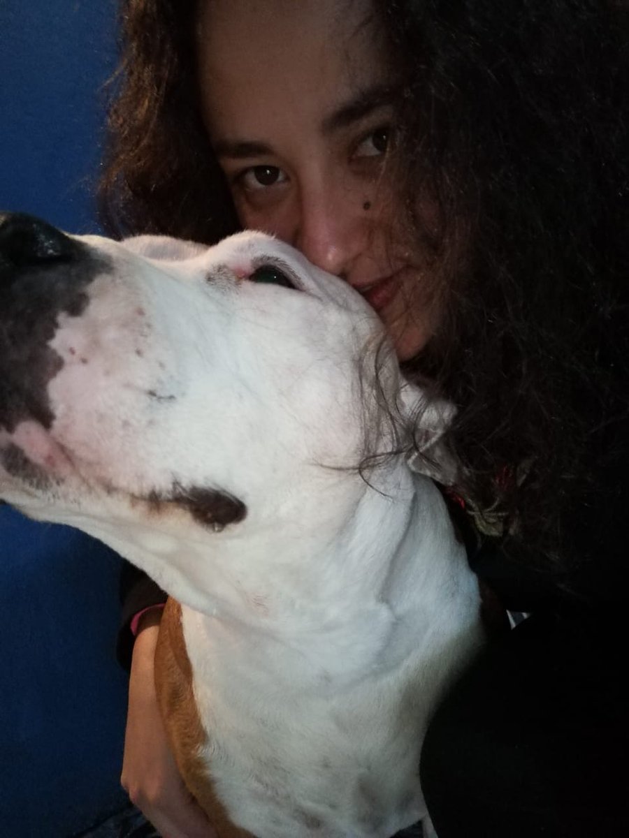 JahApper's tweet photo. Siempre le digo , Gordo , venga tomemo nos unas selfies jaja
#amorcanino #perrito #stamfor #amorincondicional https://t.co/7o0eVHvs0G