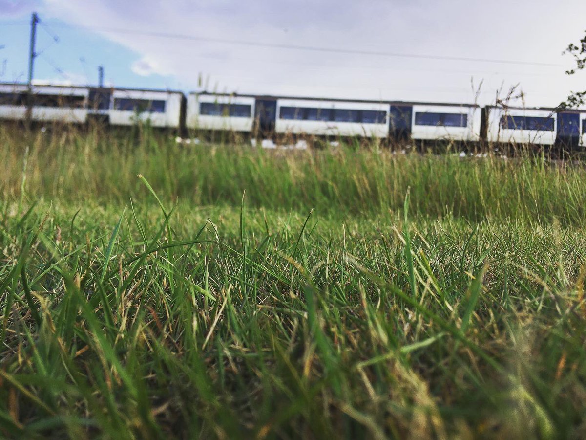 TommyWImages's tweet photo. 4/9 Over at Dunton Hills golf course today and got some shots 😍 #Dunton #Basildon #Essex #SouthEast #Golf #Train #NaturePhotographyDay #urbanphotography #YoungPhotographer #DuntonHills #Laindon #LangdonHills #photography #DepthOfField @c2c_Rail 😍 https://t.co/fyYqvEuJb6