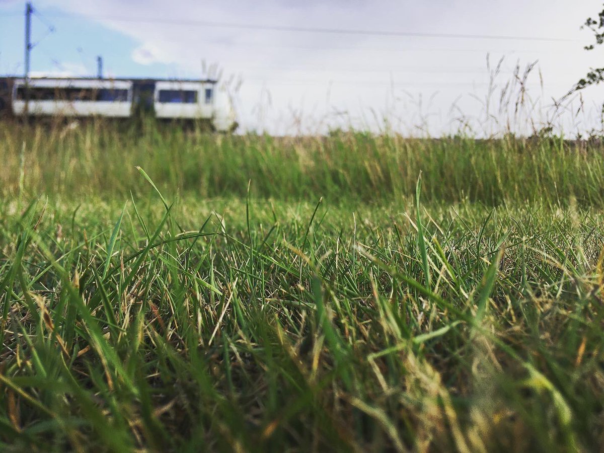 TommyWImages's tweet photo. 4/9 Over at Dunton Hills golf course today and got some shots 😍 #Dunton #Basildon #Essex #SouthEast #Golf #Train #NaturePhotographyDay #urbanphotography #YoungPhotographer #DuntonHills #Laindon #LangdonHills #photography #DepthOfField @c2c_Rail 😍 https://t.co/fyYqvEuJb6