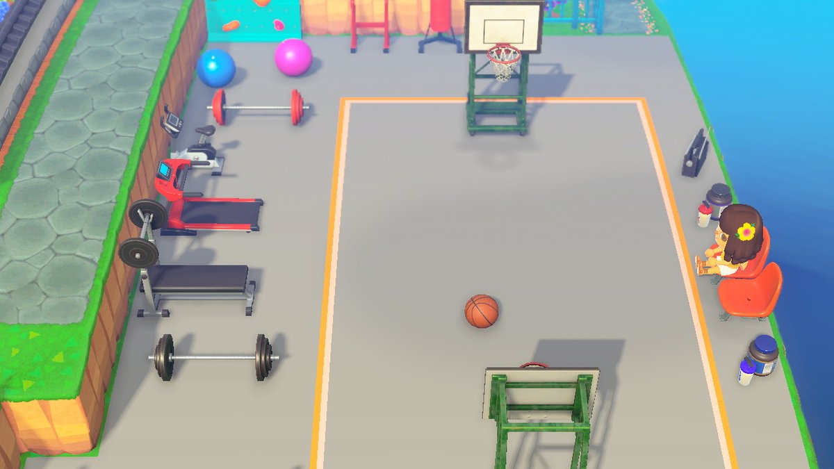 avocovedo's tweet photo. for the gainz #AnimalCrossing #ACNH https://t.co/wgkH1tfMVu