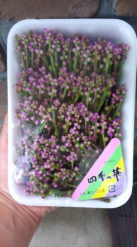 うさ Twitterren Saecue ツルムラサキの花は食用として売られてるみたいです 食べたことはないけれど甘いんだそうで 今度試してみましょう T Co Whkwfacz5r T Co 7mcaffozg6 Twitter