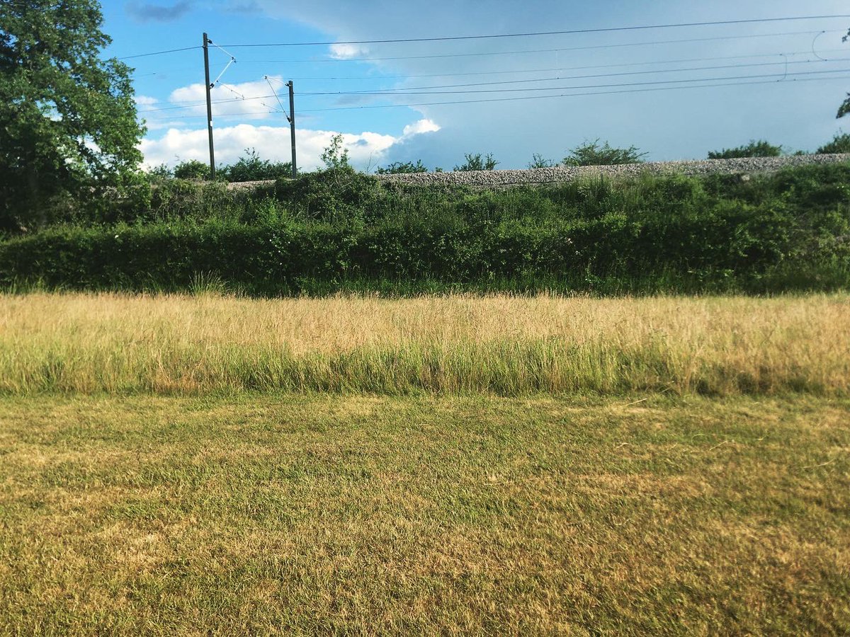 TommyWImages's tweet photo. 1/9 Over at Dunton Hills golf course today and got some shots 😍 #Dunton #Basildon #Essex #SouthEast #Golf #Train #NaturePhotographyDay #urbanphotography #YoungPhotographer #DuntonHills #Laindon #LangdonHills #photography #DepthOfField 😍 https://t.co/WRRRRO3xKi