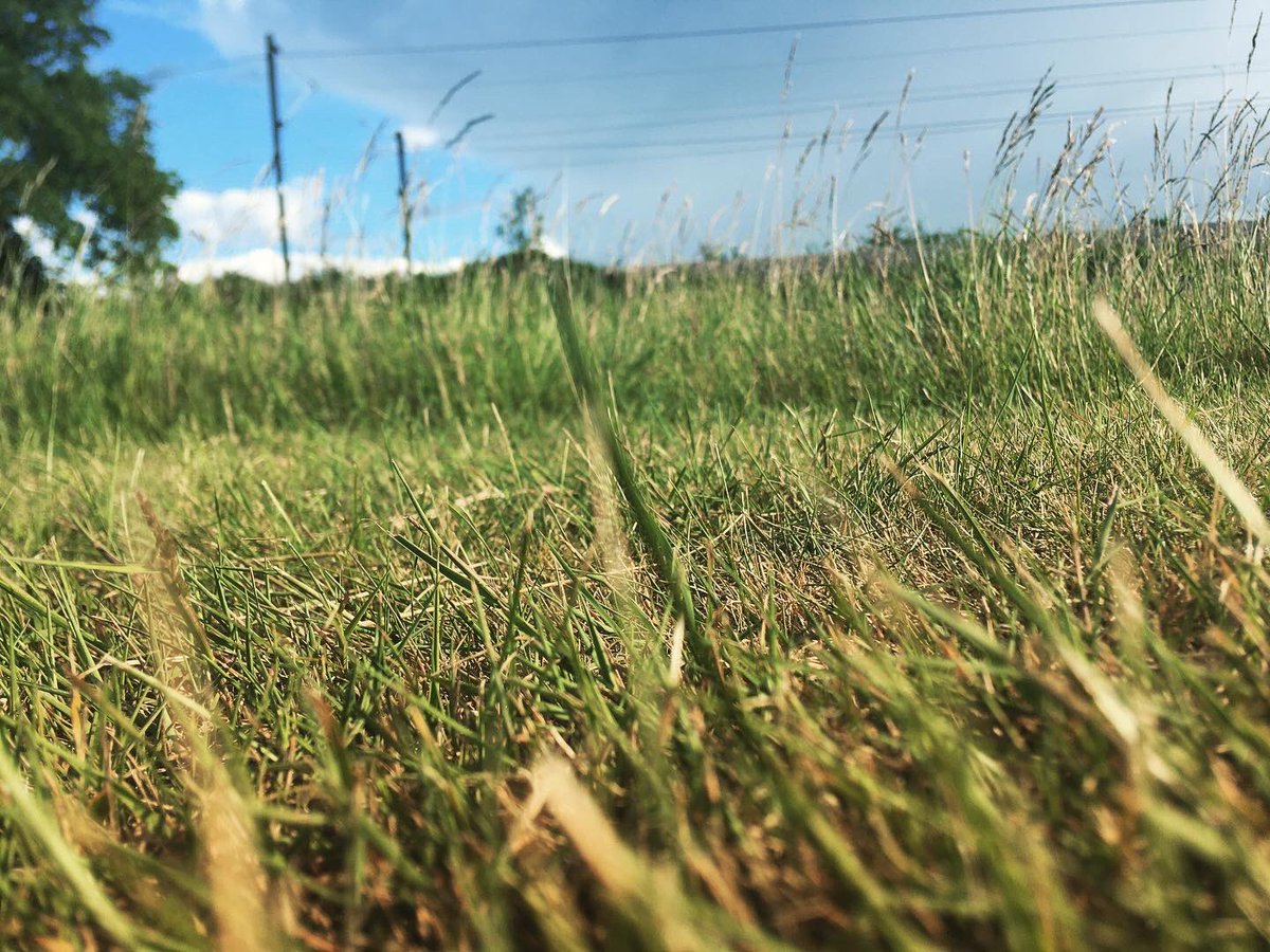 TommyWImages's tweet photo. 1/9 Over at Dunton Hills golf course today and got some shots 😍 #Dunton #Basildon #Essex #SouthEast #Golf #Train #NaturePhotographyDay #urbanphotography #YoungPhotographer #DuntonHills #Laindon #LangdonHills #photography #DepthOfField 😍 https://t.co/WRRRRO3xKi