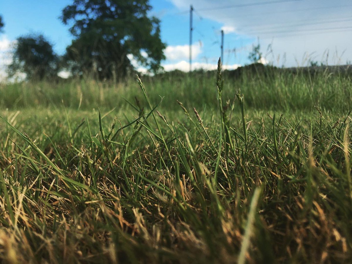 TommyWImages's tweet photo. 2/9 Over at Dunton Hills golf course today and got some shots 😍 #Dunton #Basildon #Essex #SouthEast #Golf #Train #NaturePhotographyDay #urbanphotography #YoungPhotographer #DuntonHills #Laindon #LangdonHills #photography #DepthOfField 😍 https://t.co/Ng9AiclqZy