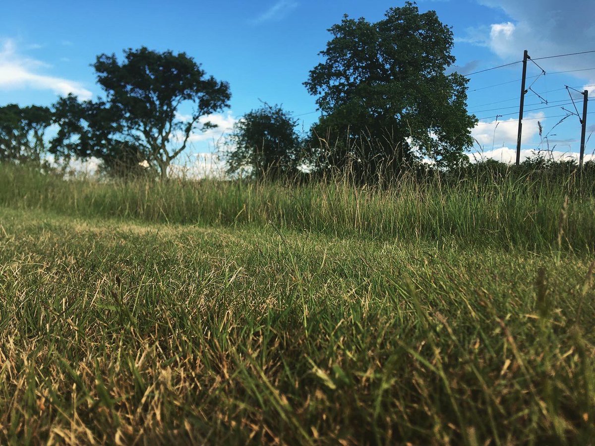 TommyWImages's tweet photo. 2/9 Over at Dunton Hills golf course today and got some shots 😍 #Dunton #Basildon #Essex #SouthEast #Golf #Train #NaturePhotographyDay #urbanphotography #YoungPhotographer #DuntonHills #Laindon #LangdonHills #photography #DepthOfField 😍 https://t.co/Ng9AiclqZy
