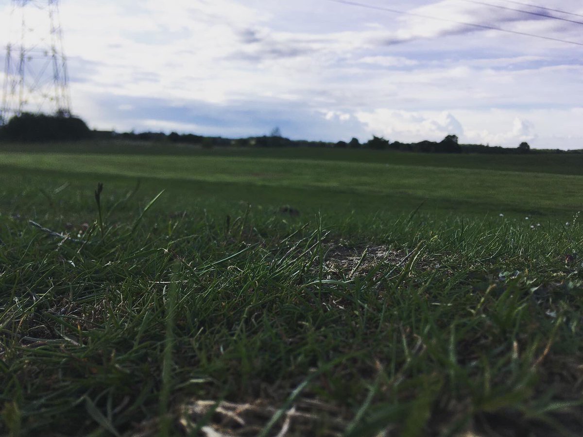 TommyWImages's tweet photo. 5/9 Over at Dunton Hills golf course today and got some shots 😍 #Dunton #Basildon #Essex #SouthEast #Golf #Train #NaturePhotographyDay #urbanphotography #YoungPhotographer #DuntonHills #Laindon #LangdonHills #photography #DepthOfField @c2c_Rail 😍 https://t.co/g1TyC9eKzz