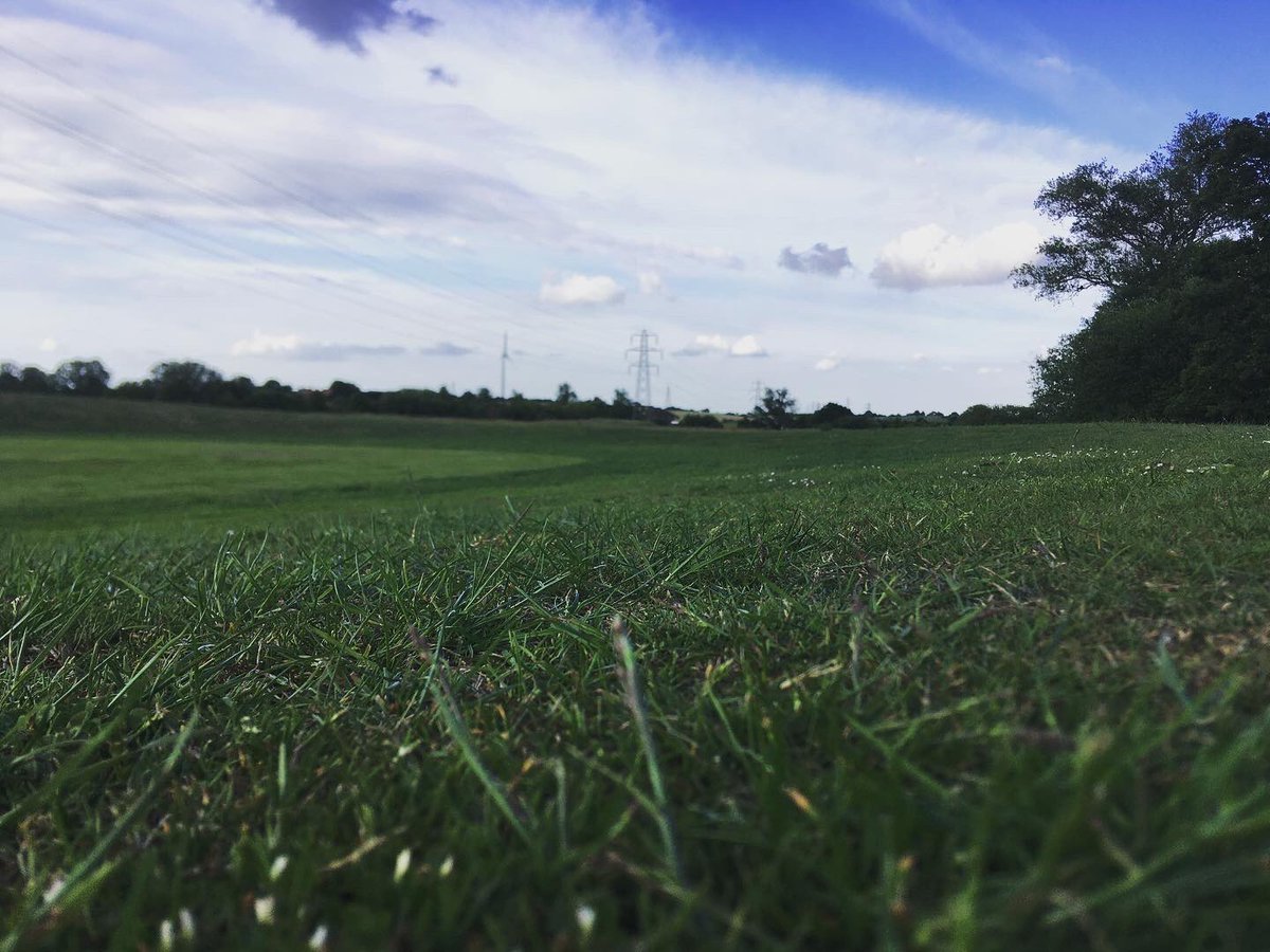TommyWImages's tweet photo. 5/9 Over at Dunton Hills golf course today and got some shots 😍 #Dunton #Basildon #Essex #SouthEast #Golf #Train #NaturePhotographyDay #urbanphotography #YoungPhotographer #DuntonHills #Laindon #LangdonHills #photography #DepthOfField @c2c_Rail 😍 https://t.co/g1TyC9eKzz
