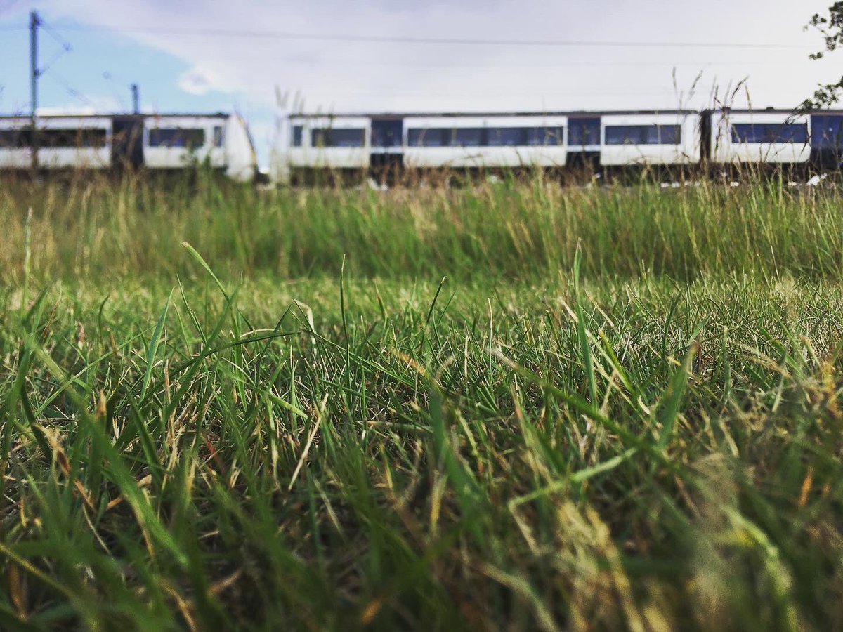 TommyWImages's tweet photo. 5/9 Over at Dunton Hills golf course today and got some shots 😍 #Dunton #Basildon #Essex #SouthEast #Golf #Train #NaturePhotographyDay #urbanphotography #YoungPhotographer #DuntonHills #Laindon #LangdonHills #photography #DepthOfField @c2c_Rail 😍 https://t.co/g1TyC9eKzz