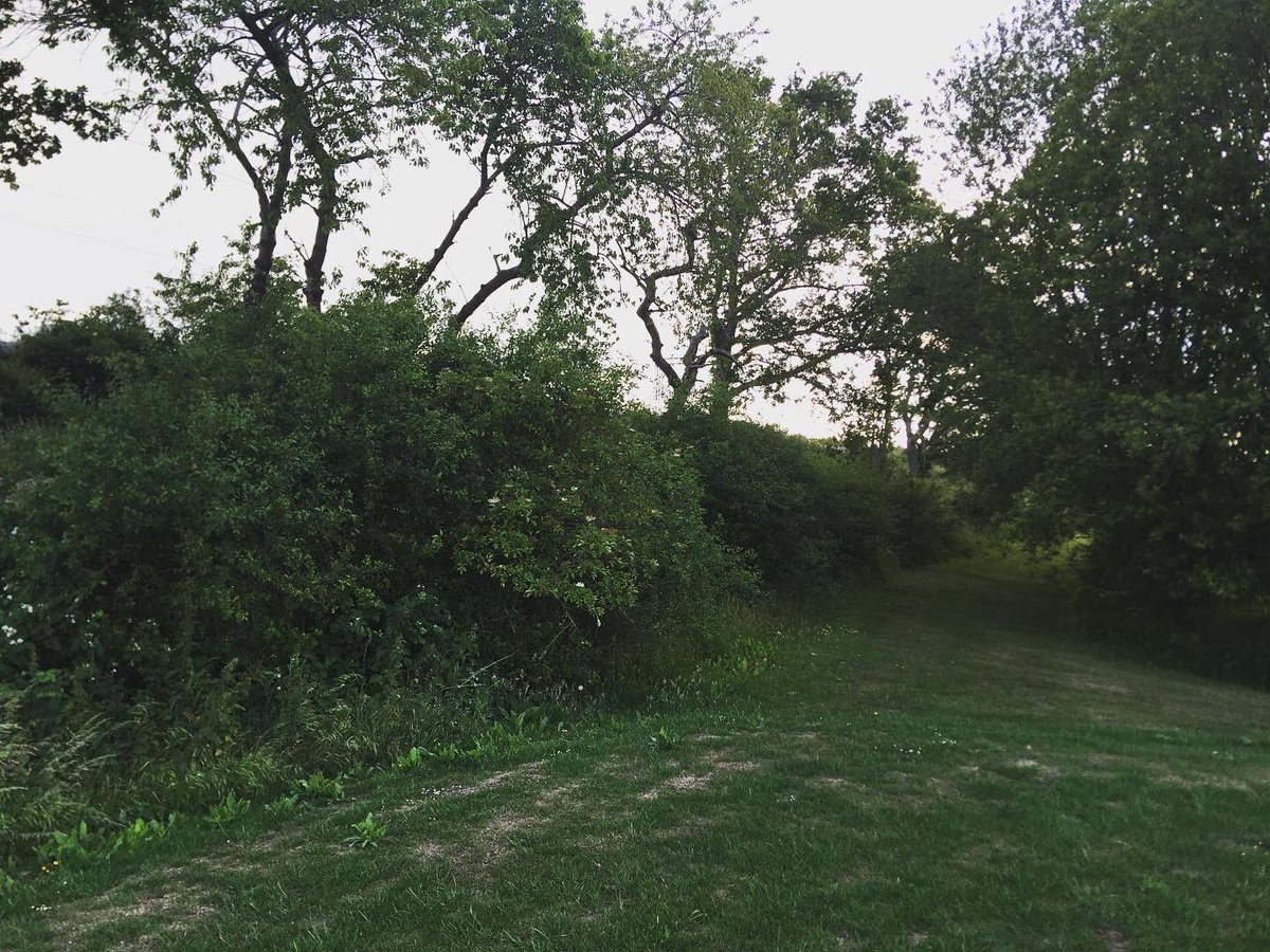 TommyWImages's tweet photo. 8/ Over at Dunton Hills golf course today and got some shots 😍 #Dunton #Basildon #Essex #SouthEast #Golf #Train #NaturePhotographyDay #urbanphotography #YoungPhotographer #DuntonHills #Laindon #LangdonHills #photography #DepthOfField @c2c_Rail 😍 https://t.co/oCx7dixtu8