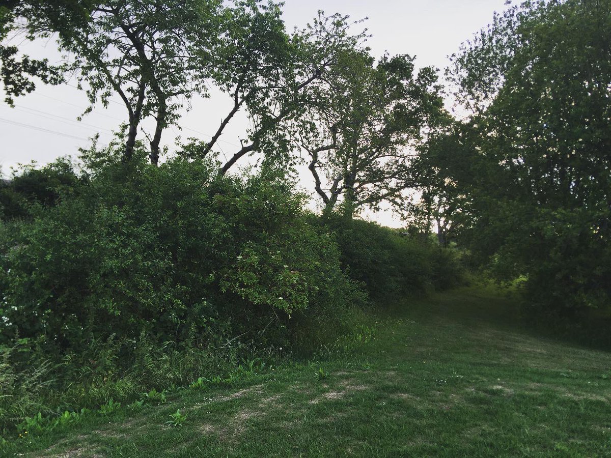 TommyWImages's tweet photo. 8/ Over at Dunton Hills golf course today and got some shots 😍 #Dunton #Basildon #Essex #SouthEast #Golf #Train #NaturePhotographyDay #urbanphotography #YoungPhotographer #DuntonHills #Laindon #LangdonHills #photography #DepthOfField @c2c_Rail 😍 https://t.co/oCx7dixtu8