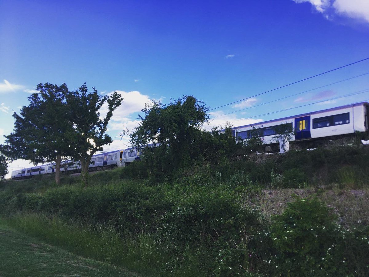 TommyWImages's tweet photo. 8/ Over at Dunton Hills golf course today and got some shots 😍 #Dunton #Basildon #Essex #SouthEast #Golf #Train #NaturePhotographyDay #urbanphotography #YoungPhotographer #DuntonHills #Laindon #LangdonHills #photography #DepthOfField @c2c_Rail 😍 https://t.co/oCx7dixtu8