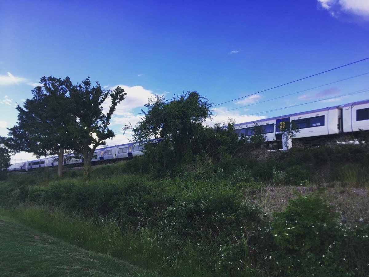 TommyWImages's tweet photo. 9/ Over at Dunton Hills golf course today and got some shots 😍 #Dunton #Basildon #Essex #SouthEast #Golf #Train #NaturePhotographyDay #urbanphotography #YoungPhotographer #DuntonHills #Laindon #LangdonHills #photography #DepthOfField @c2c_Rail 😍 https://t.co/BF9rToaWKM