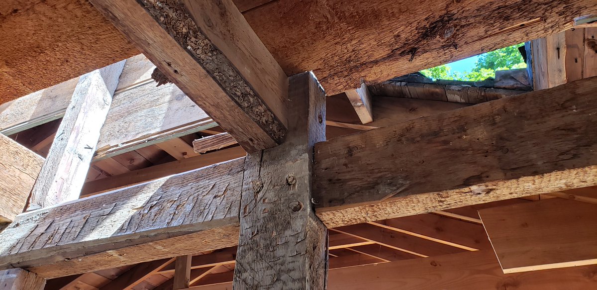 Worked really hard today.We took the roof off a 300 year old house.It was the original Van Brunt Manor back in 1720, in the Village of Poquott (founded in 1659) and used to sit on 300 acres.These roof rafters were mortise and tenon as was much of the frame.