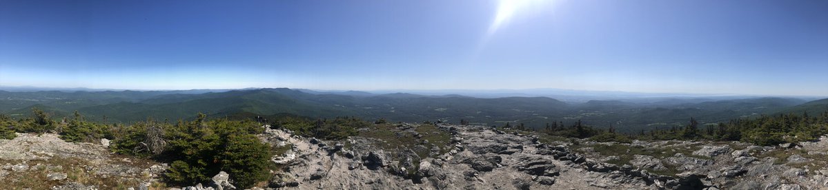 treesrtheanswr's tweet photo. Happy Tree Hugger Tuesday! Today’s adventure went above tree line. It’s amazing where trees can grow, even in extreme weather conditions with no soil - like the top of a mountain! #treehuggertuesday #treehugger #treetwiter https://t.co/5g7d6fV582
