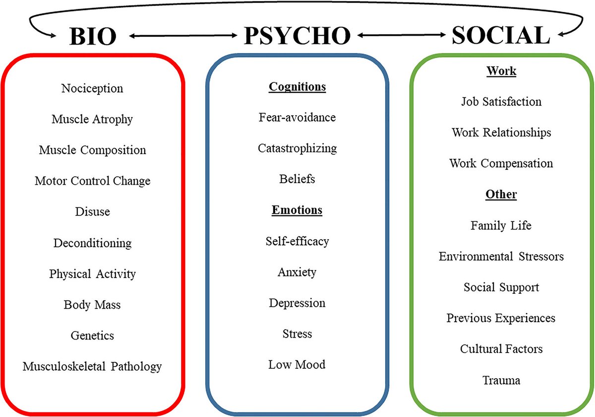 Future studies examining these outcomes are warranted given the importance of considering these variables during the management of non-specific chronic low back pain:  https://pubmed.ncbi.nlm.nih.gov/31610090/ 18/24