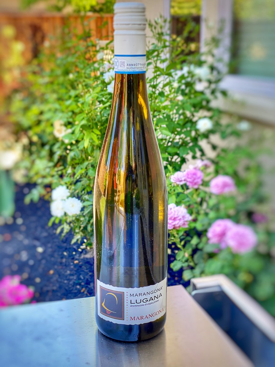 winetraveleats's tweet image. #WineStudio this bottle smells like the sea, but on the palate it is lovely -an initial flavor of tropical fruits which then turns to citrus and on the finish is green apple and a hint of vanilla. In other words, delicious!