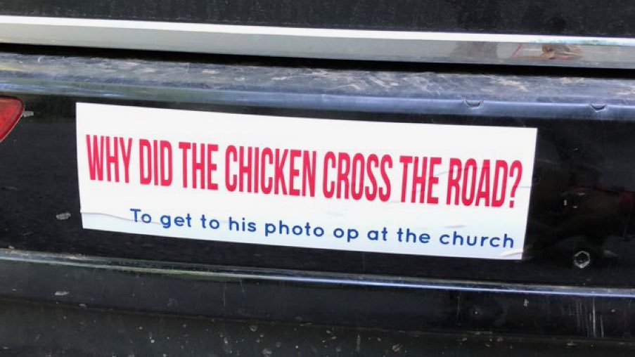 Because that is what chickens do!