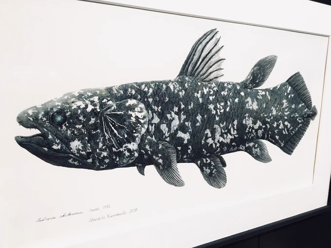 いきものを描くと、「ここ、こんな形だったんだ」と気付いたり「で、この形どういう意味なんだろう」と謎が増えたりして、描く楽しみと学ぶ楽しみが一度に得られてしまって最高...みんな意味もなく動物描こ...?
#みんなの動物の輪 