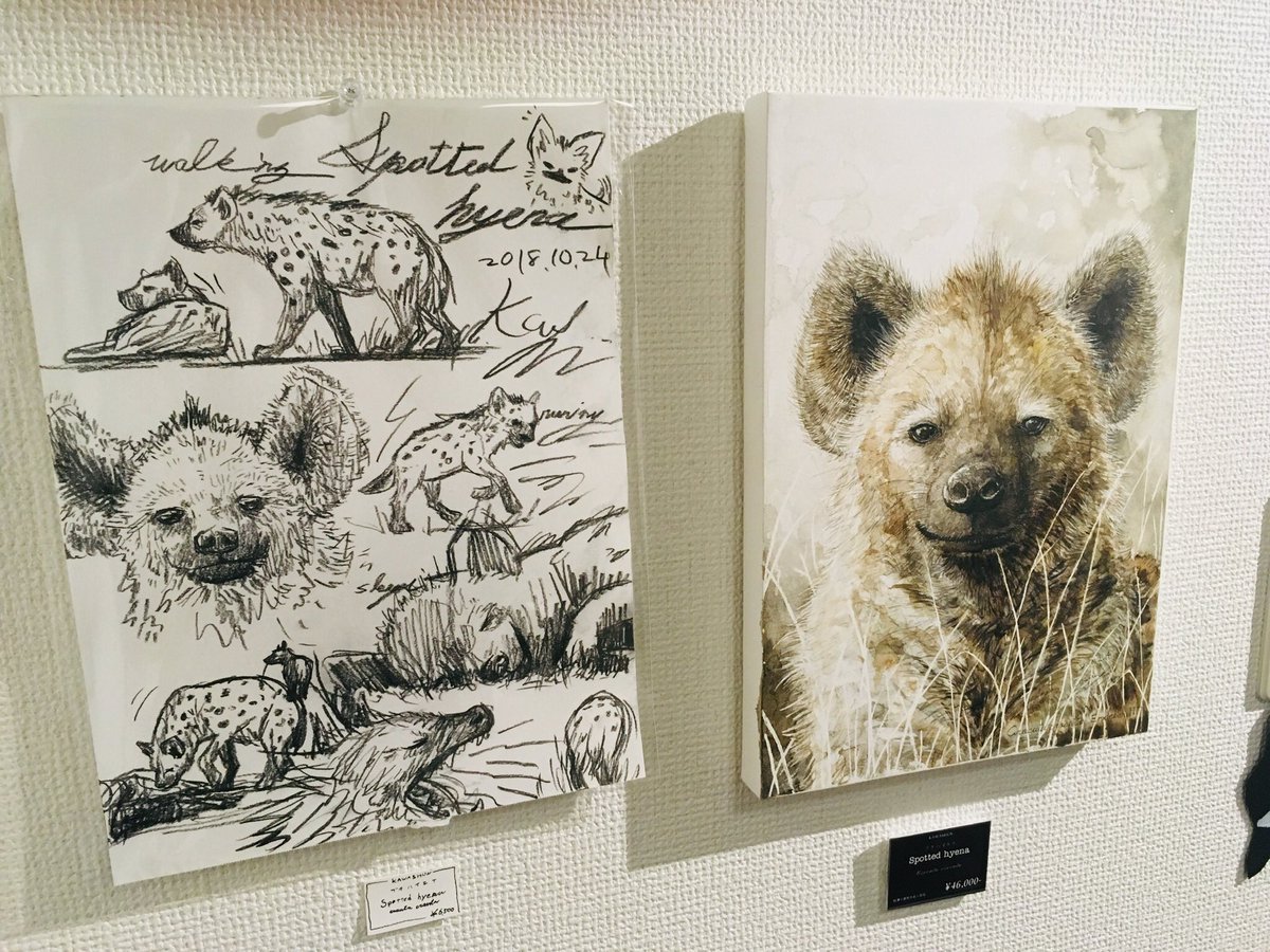 「いきものを描くと、「ここ、こんな形だったんだ」と気付いたり「で、この形どういう意」|かわさきしゅんいちのイラスト