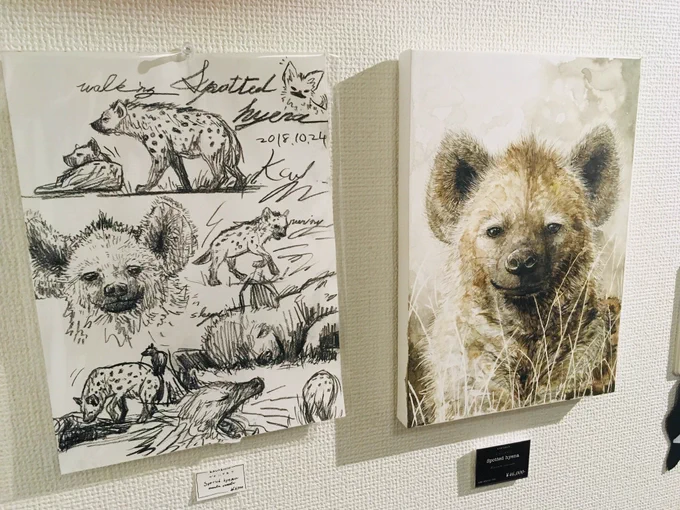 いきものを描くと、「ここ、こんな形だったんだ」と気付いたり「で、この形どういう意味なんだろう」と謎が増えたりして、描く楽しみと学ぶ楽しみが一度に得られてしまって最高...みんな意味もなく動物描こ...?
#みんなの動物の輪 